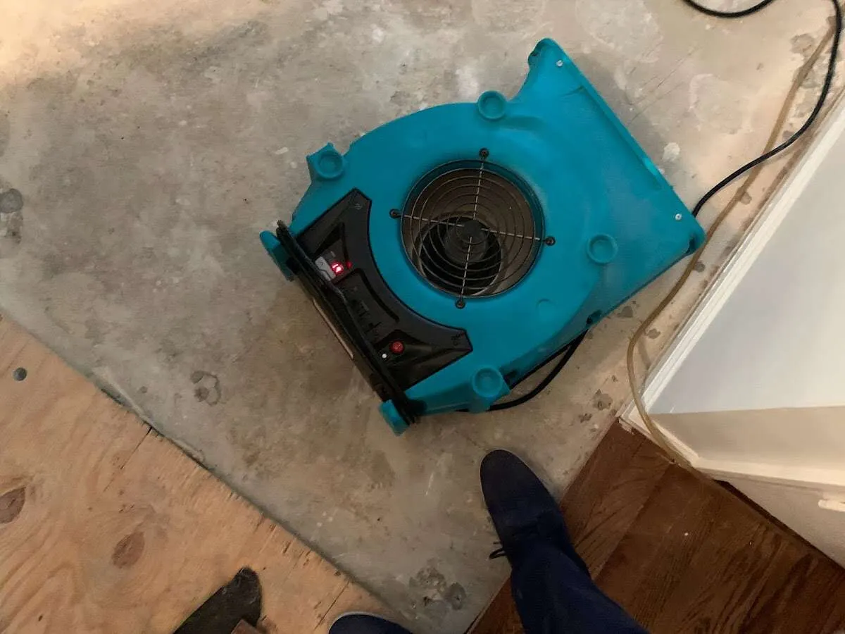 Air mover drying subfloor during Leak Detection & Repair in Lexington
